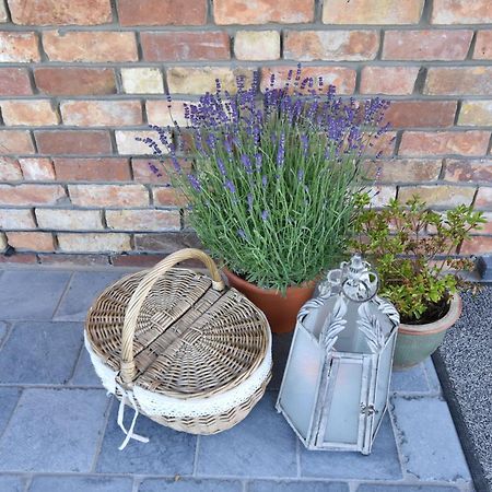 Tasteful Holiday Home In Sijsele Brugge With Garden Veldhoek Exteriör bild