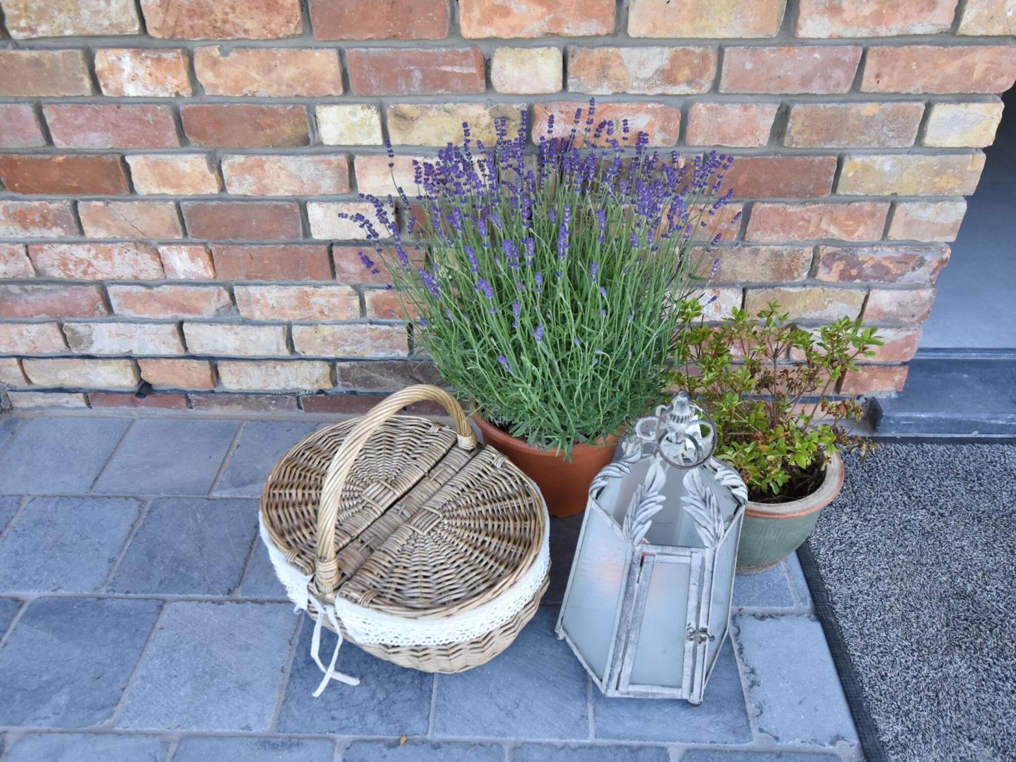 Tasteful Holiday Home In Sijsele Brugge With Garden Veldhoek Exteriör bild